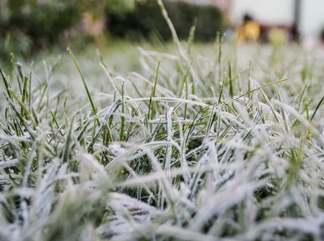 Жителів області попередили про сильні заморозки