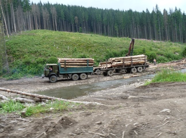На Ужгородщині затримали вантажівку із 35 кубометрами деревини