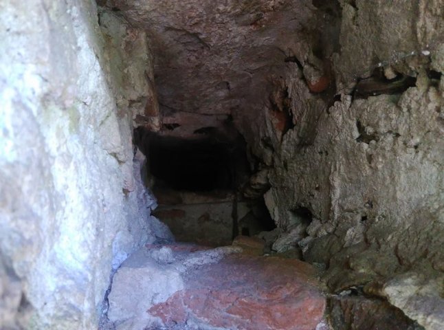 Розчищаючи чагарники, активісти виявили під Хустським замком незвичний вхід у підземелля