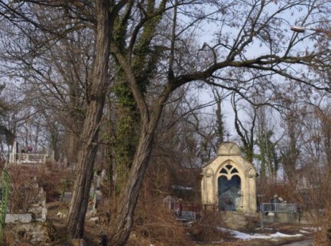 В Ужгороді знову порушили питання щодо створння кладовища на словацькому кордоні (ВІДЕО)