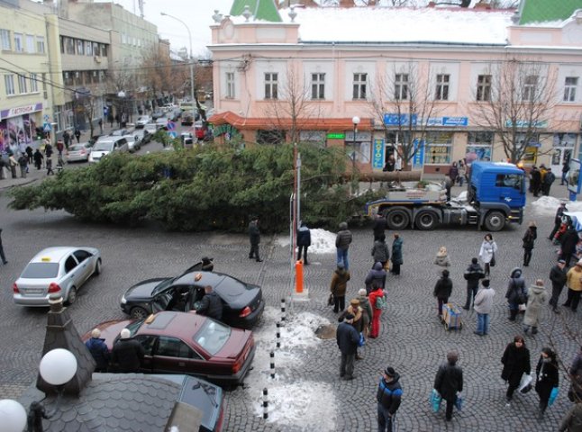 Новорічну ялинку, яка красуватиметься на площі Миру, вже доставили в Мукачево (ФОТО) 