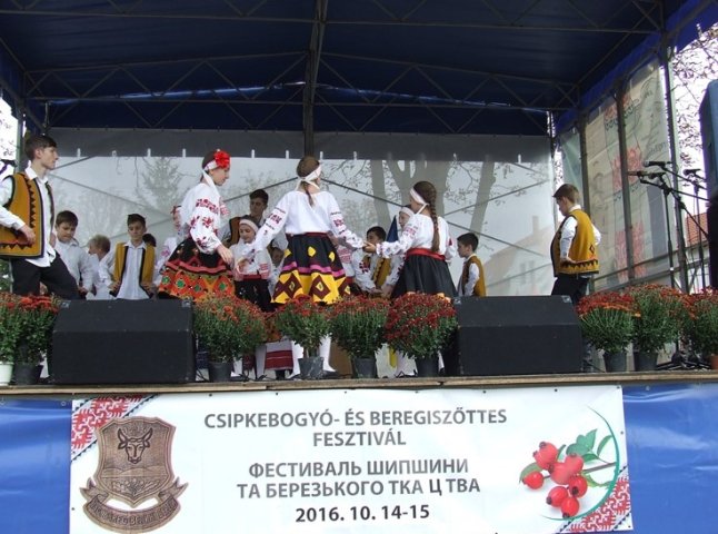 На Берегівщині відбувся фестиваль шипшини і ткацтва