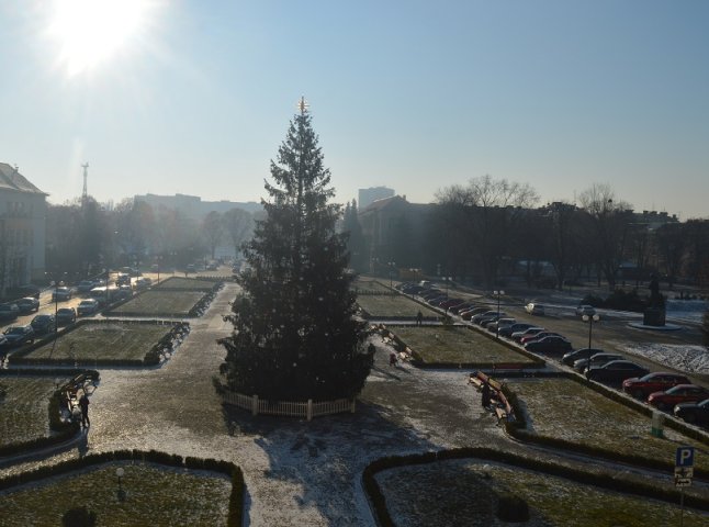 Ужгородська ялинка в рейтингу найвищих новорічних дерев обласних центрів опинилась у другому десятку