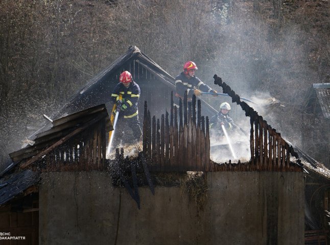 Прибирання закінчилось пожежею: рятувальники розповіли про випадок у Нижньому Солотвині