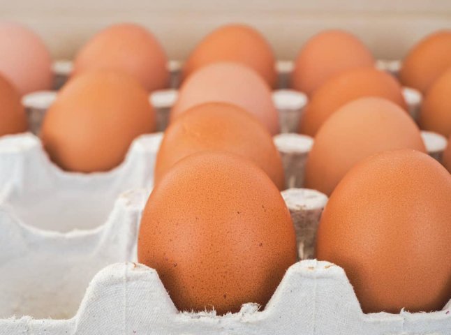 Ціни на курячі яйця різко змінились: скільки у жовтні коштує 10 штук
