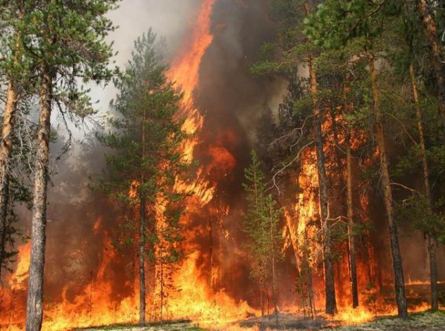 На Закарпатті розглянули питання підвищення рівня пожежної безпеки в лісових масивах
