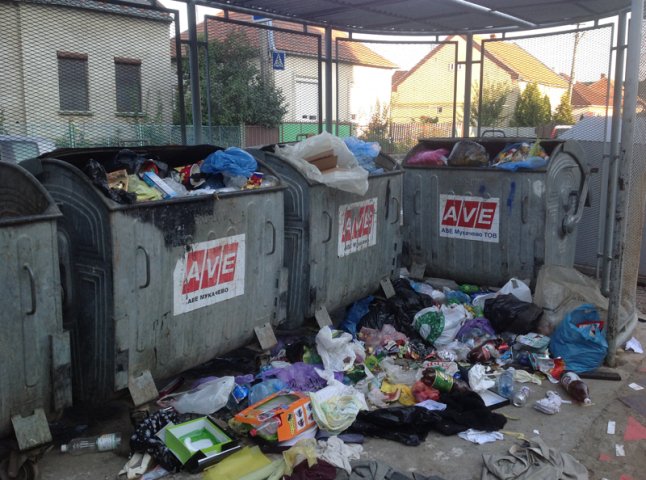 Щоб у Мукачеві вивезли сміття потрібно спочатку опублікувати його фото у соцмережі? (ФОТО)