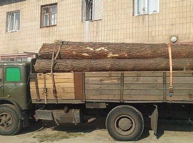 ДАІшники затримали вантажівку із деревиною без жодних дозвільних документів
