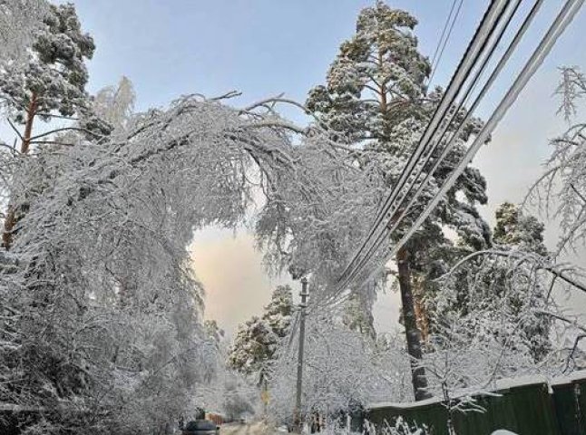 На Свалявщині дерево, що впало під мокрим снігом, залишило жителів 6 сіл без світла