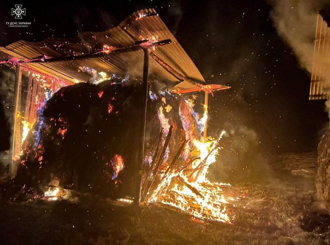 Вогонь знищив 8 тонн сіна: правоохоронці з’ясовують причину загорання