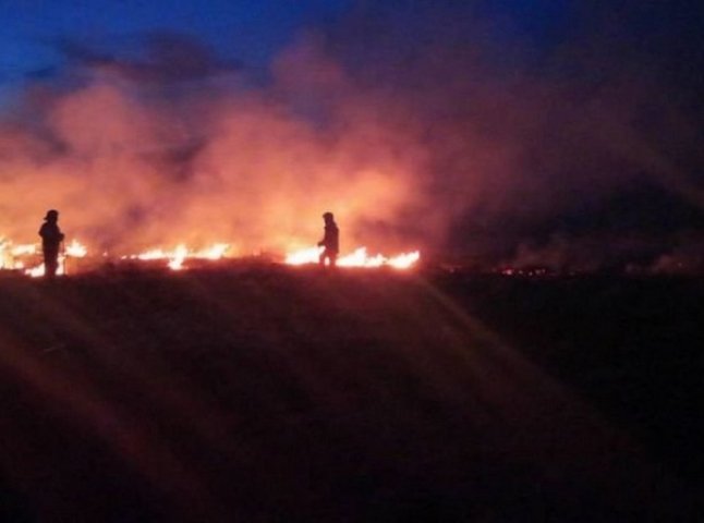 Вночі поблизу Мукачева вирувала велика пожежа