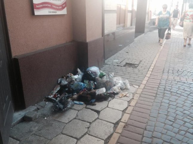 Туристи більше двох діб споглядали на стихійне сміттєзвалище у центрі Мукачева