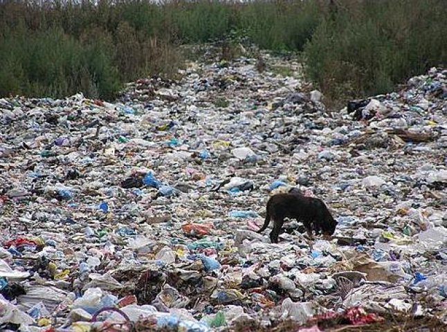 Мешканці села Буштино відмовляються від сміттєпереробного заводу (ВІДЕО)
