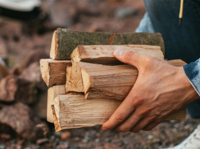 Підготовка до опалювального сезону: де можна купити дрова на Закарпатті