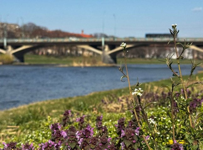 Надзвичайна ситуація у Словаччині не загрожує річкам Закарпаття, – обласний ЦГМ