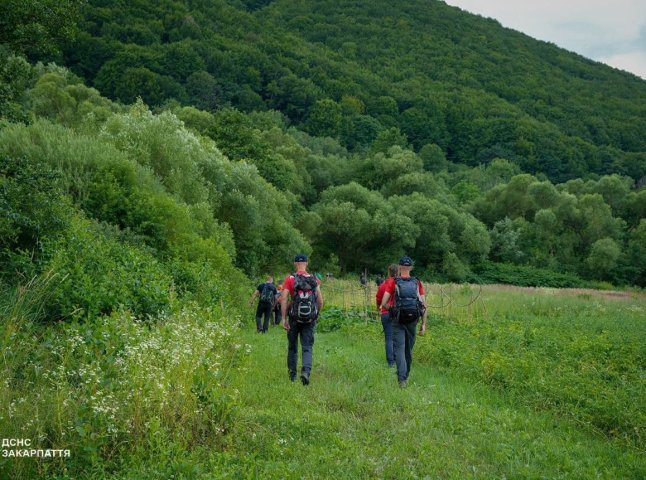 На Мукачівщині третю добу шукають літнього грибника