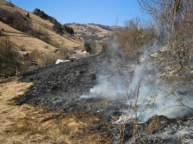 В області продовжують підпалювати сухостій. Рятувальники звернулись до людей