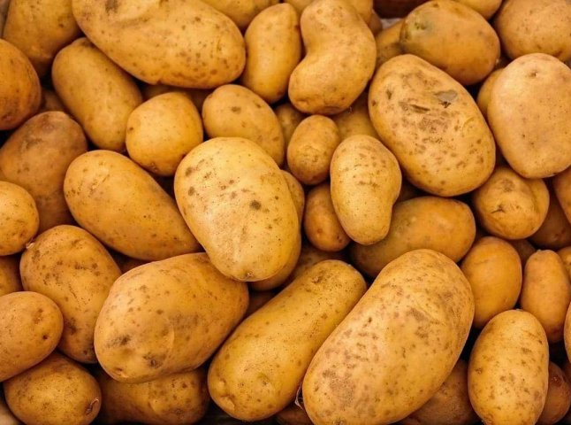 Ціни розвернулись: картопля знову дорожчає — скільки тепер коштує