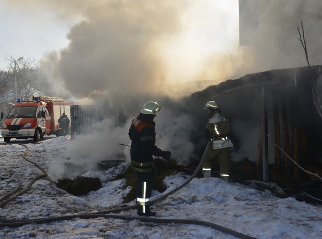 Пожежі в Ужгороді: рятувальники розповіли подробиці