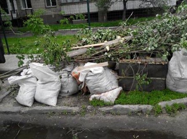 Захаращені тротуари – наслідки весняного прибирання в Ужгороді
