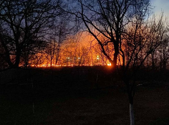 Рятувальники показали фото великої пожежі на Іршавщині