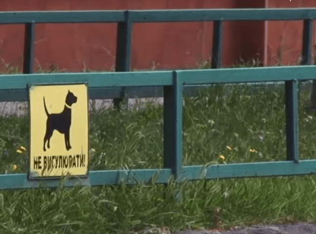 В Мукачеві на дитячих майданчиках вигулюють собак
