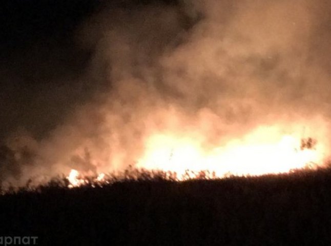 Велика пожежа у Виноградові: вогонь наближається до новобудов
