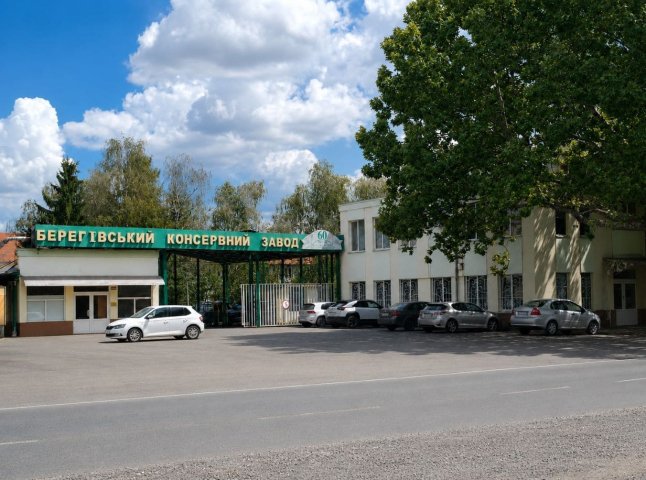 На Закарпатті за майже 8 мільйонів доларів продають завод