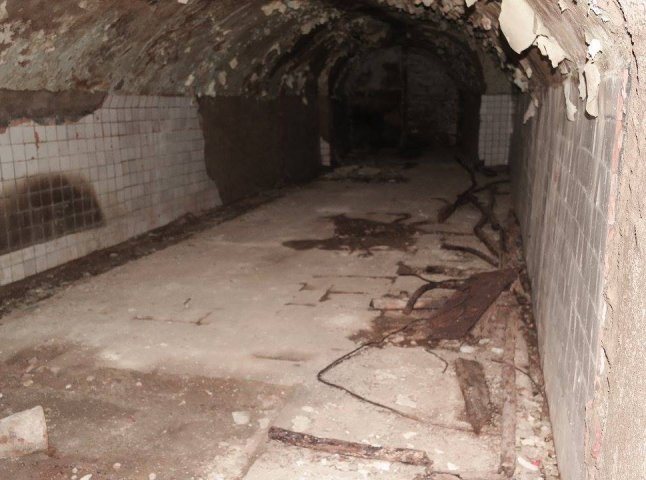 Житель Ужгорода, який у власному будинку знайшов підземелля, організував екскурсії таємничим тунелем