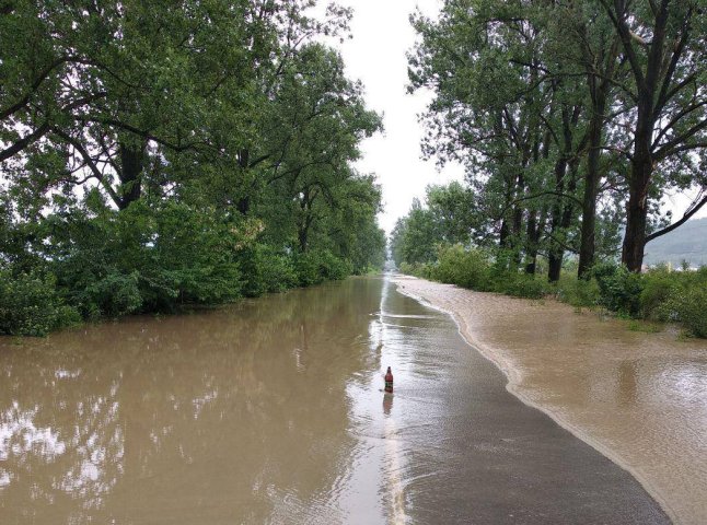 Від Сільця до Виноградова дорогу перекрито: вода затопила проїжджу частину