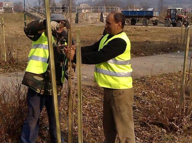 У парку "Перемоги" почали висаджувати молоді дерева та кущі (ФОТО)