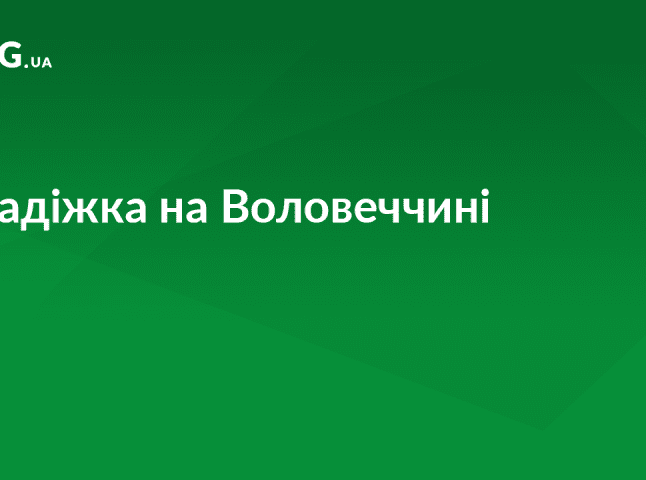 На Воловеччині поліцейські розкрили крадіжку