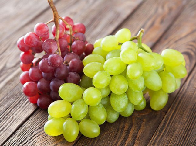 Як мукачівець вирощує понад 40 сортів винограду