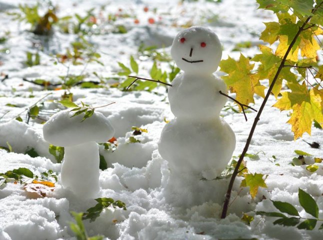 Неподалік Ужгорода випав перший сніг