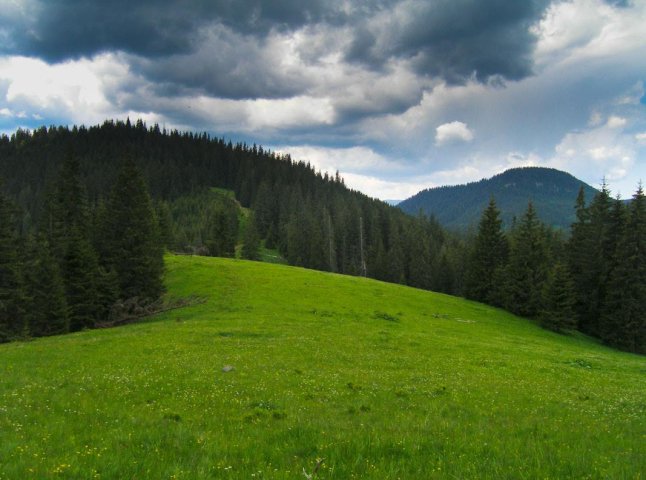 Двоє мешканців Івано-Франківська заблукали у горах Закарпаття