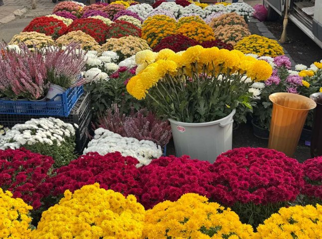 Скільки коштують квіти на ринках, які закарпатці купують для вшанування пам’яті померлих Скільки коштують квіти на ринках, які закарпатці купують для вшанування пам’яті померлих