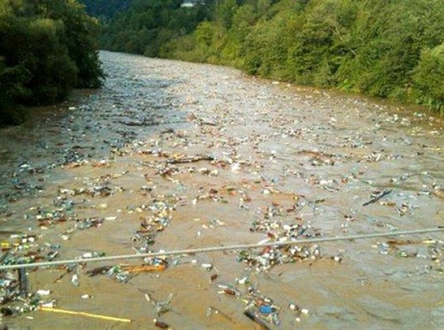 Закарпаття вибачилось перед Угорщиною за сміття