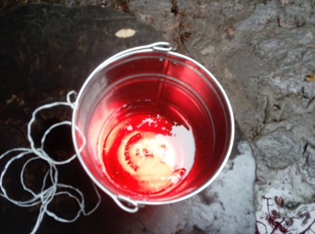 "Криваву" воду, виявлену в криниці Ужгорода, віднесли на експертизу
