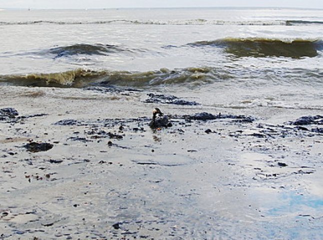 У водному господарстві прозвітували про те, як боролися витоком нафтопродуктів у каналі поблизу села Баркасово