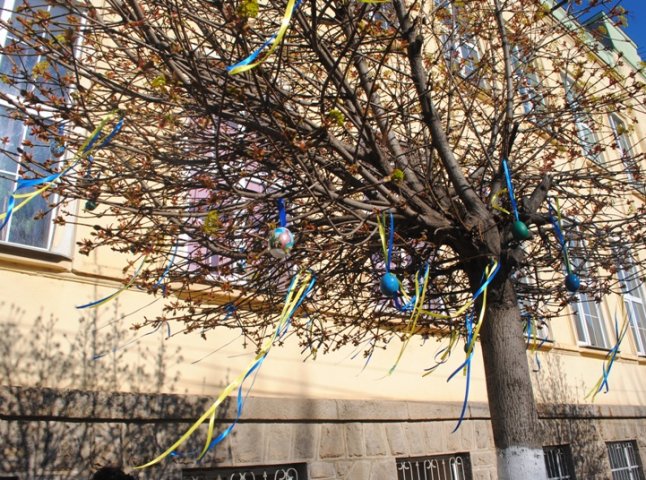 У Мукачеві студенти прикрашають дерева писанками та патріотичними стрічками (ФОТО)