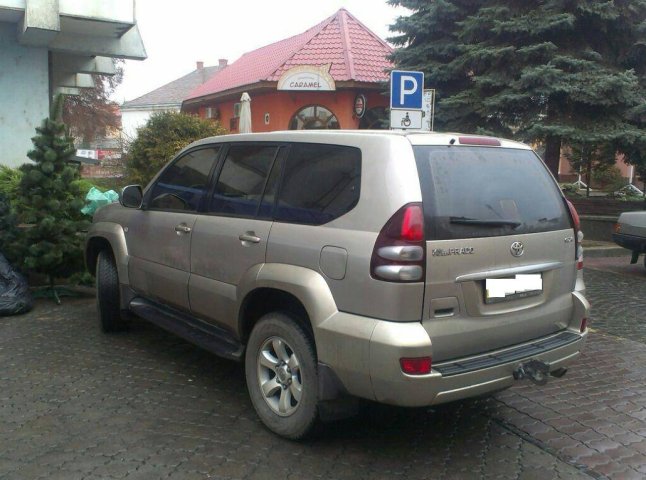 Поліція оприлюднила фото автомобілів, які порушили ПДР в Ужгороді та Мукачеві