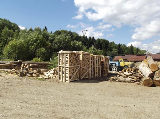 На території філії Воловецького лісового господарства прокуратура вилучила документи на майже 100 куб.м лісу