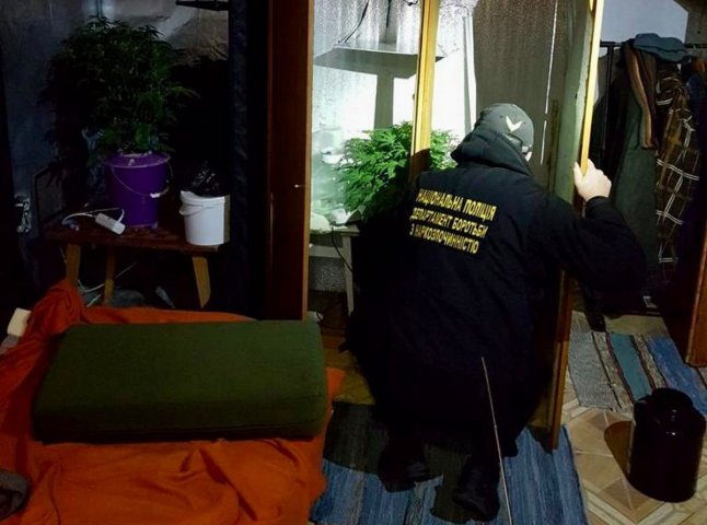 У селі Барвінок виявили міні-лабораторію для вирощування нарковмісних рослин