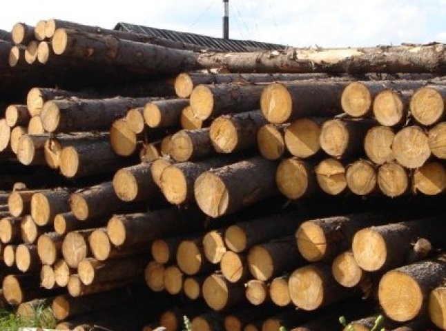 Закарпатські митники вилучили партії лісоматеріалів вартістю понад 170 тис. гривень