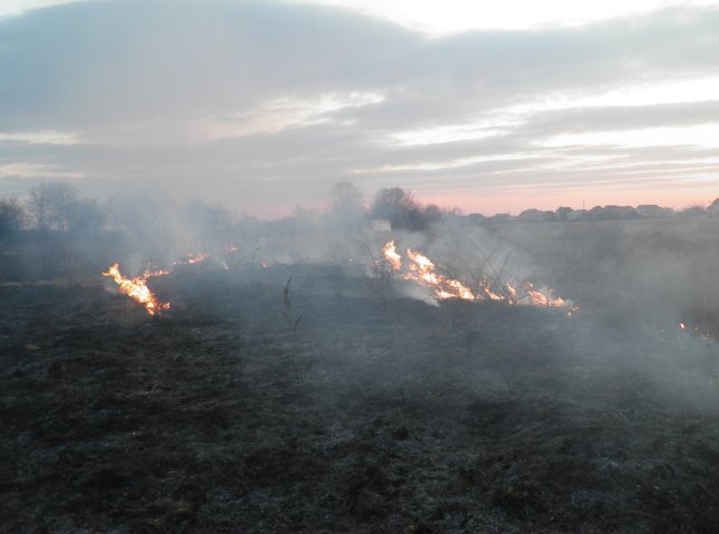На Чернечій Горі біля Мукачева сталася пожежа