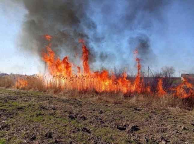 На Ужгородщині згоріло майже 3 Га сухої трави