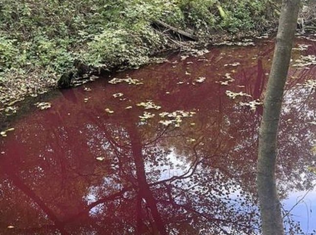 У Перечині в каналі почервоніла вода. Екологи висловили занепокоєння