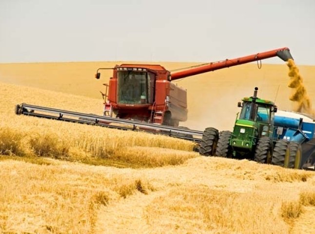На Берегівщині засідав штаб з питань організації збирання зернових культур