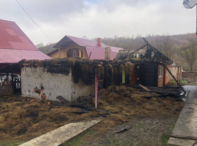 Загинула корова та кури: рятувальники розповіли детальніше про пожежу у селі