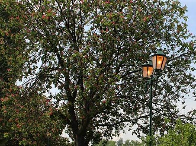 В Ужгороді вчергове вдень світили ліхтарі